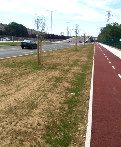 Remodelación de la Calle Alcalde Martín Cobos