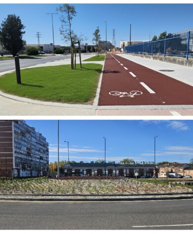 Remodelación Avda. Alcalde Martín Cobos-Fase V (Burgos)